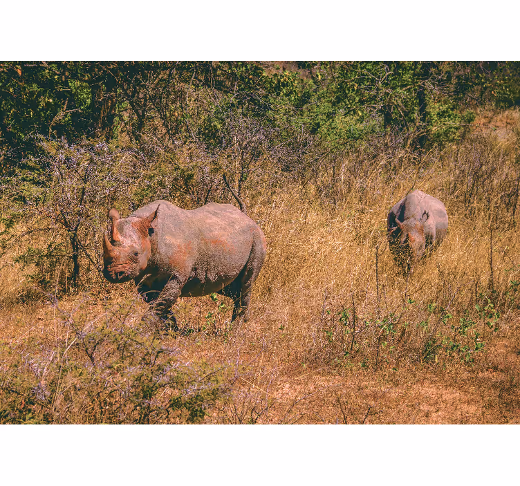 Foto behang dieren neushoorns in grasland - TenStickers