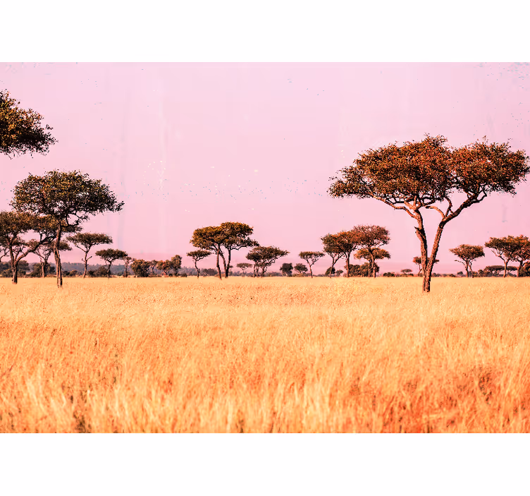 Fototapet landschap serene savanne uitzicht - TenStickers