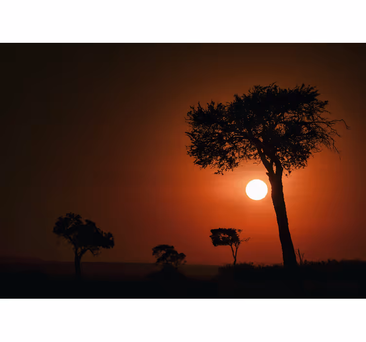 Silhouet zonsondergang scène fototapet landschap - TenStickers