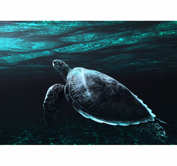 Foto behang dieren majestueuze zeeschildpad - TenStickers