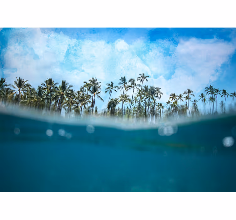 Fotobehang natuur palmboom horizon - TenStickers