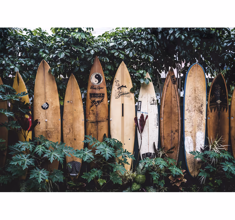 Fotobehang voertuigen surfplanken in tentoonstelling - TenStickers