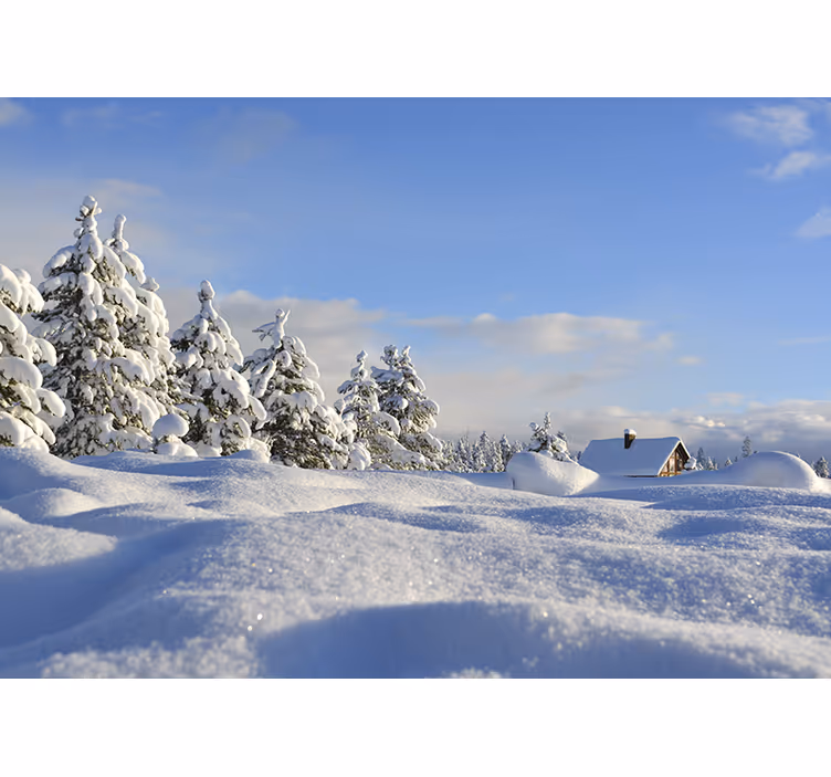 Fototapet landschap winterse sneeuwscène - TenStickers