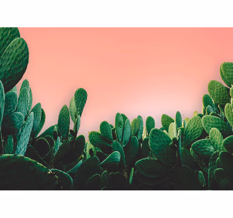 Fotobehang natuur cactuslandschap - TenStickers