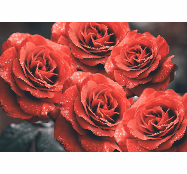 Bloemen foto behang rode rozenbloesems - TenStickers