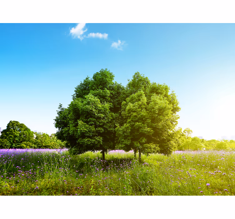 Fotobehang natuur weelderige groene bomen - TenStickers