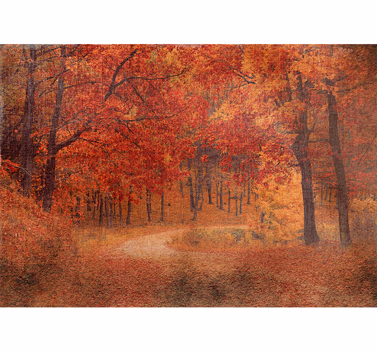 Fotobehang natuur rustieke herfstpad - TenStickers