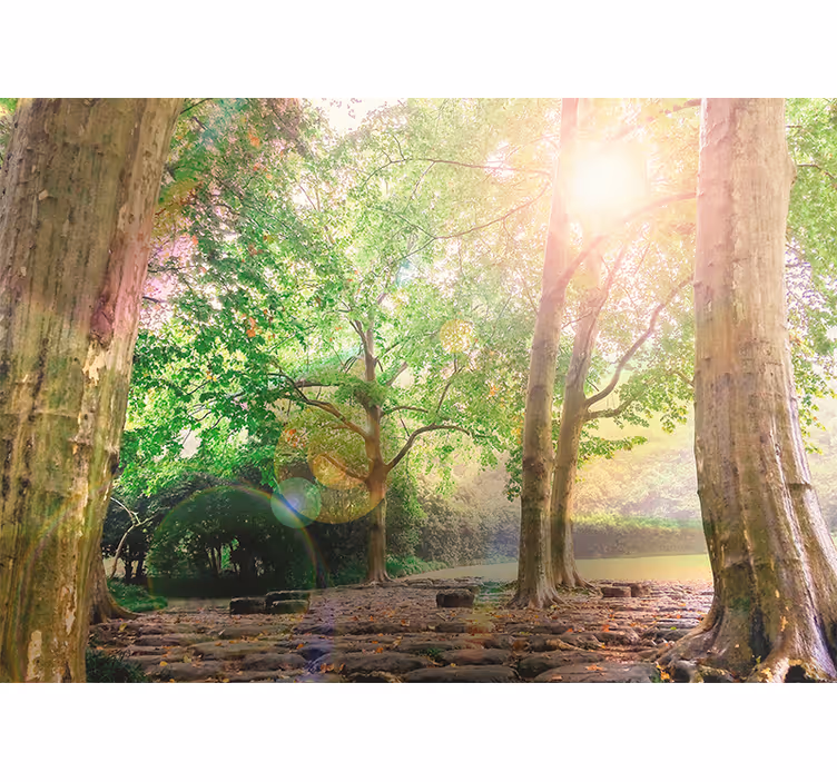 Natuur behang weelderige groene sereniteit - TenStickers