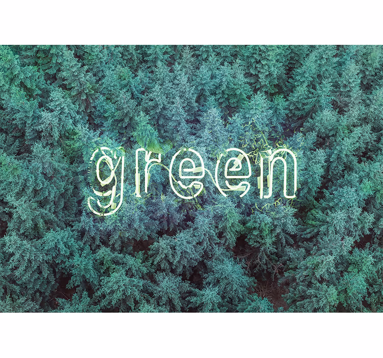 Fotobehang natuur groene bosletters - TenStickers