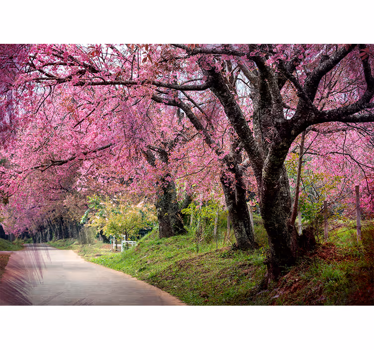 Bloemen foto behang blossom trail - TenStickers