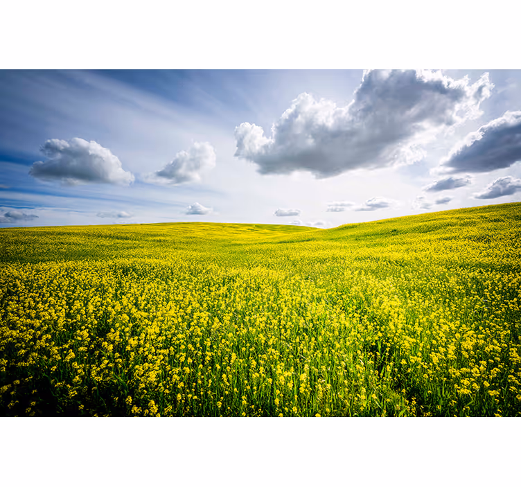 Fotobehang natuur uitgestrekt groene veld - TenStickers