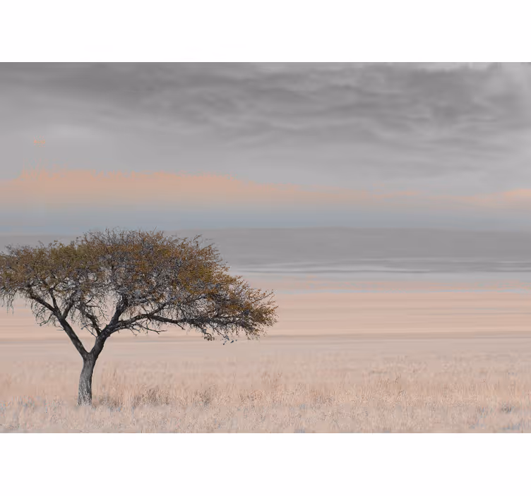 Natuur behang isolaat boomlandschap - TenStickers