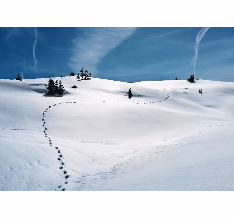 Fotobehang bergen sneeuwachtige bergpaden - TenStickers