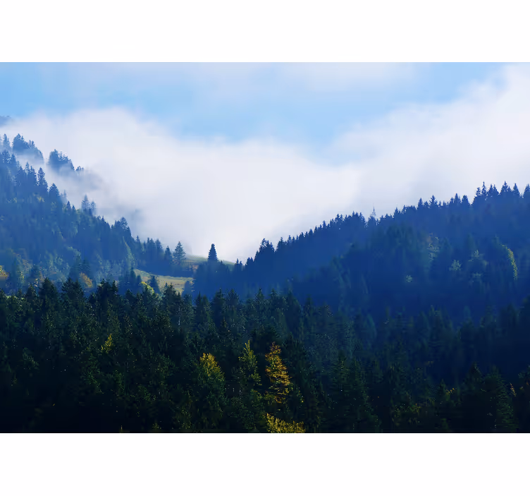 Fotobehang natuur bergen en mist - TenStickers
