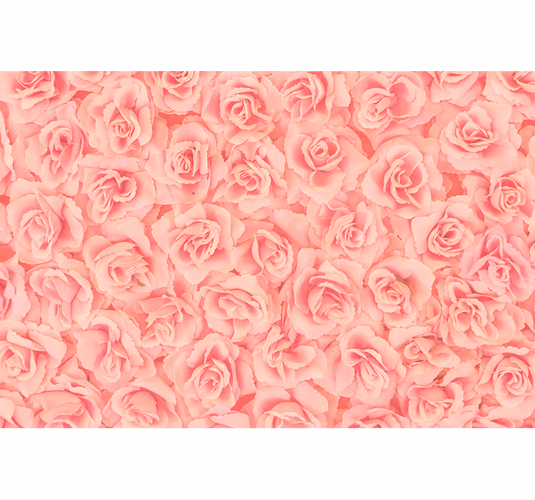 Bloemen foto behang rozen in bloei - TenStickers
