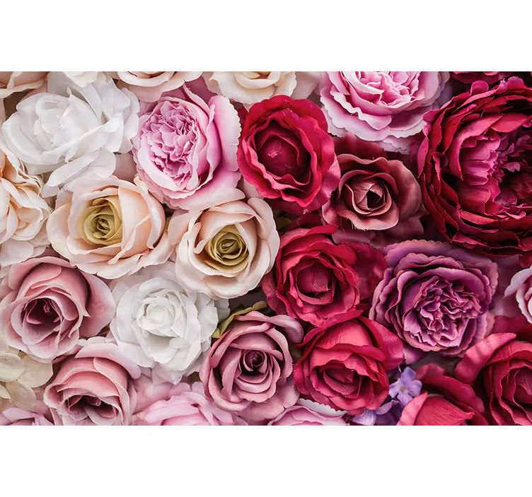 Bloemen foto behang mooie rozen collectie - TenStickers