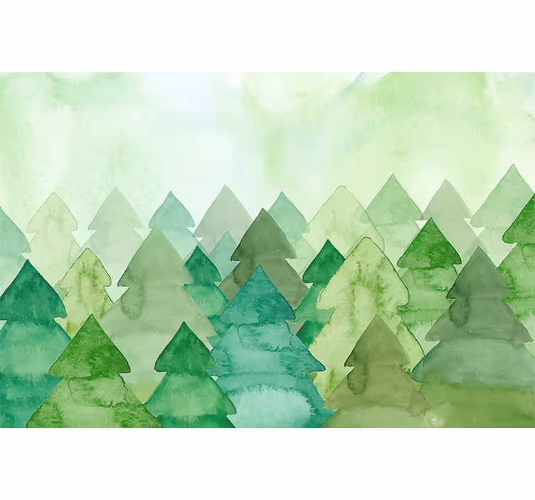 Foto behang bos weelderige groene dennen - TenStickers