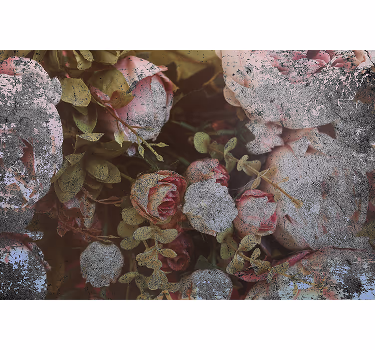 Bloemen foto behang rozen en bladeren - TenStickers