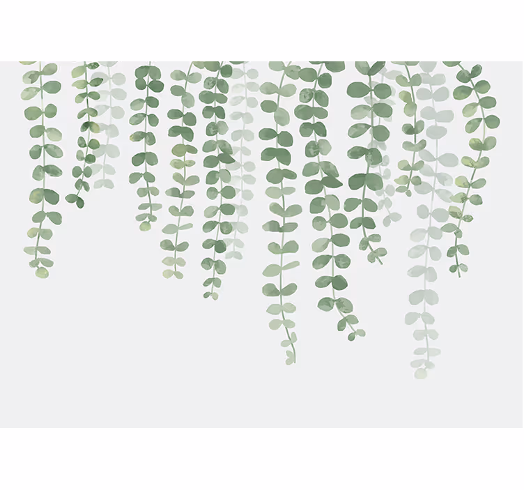 Weelderige groene wijnstokken foto behang bomen - TenStickers