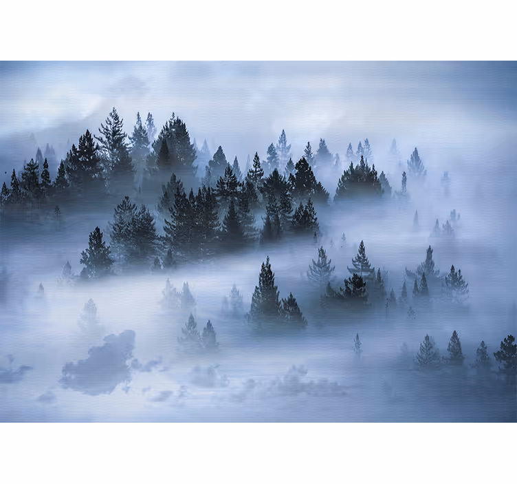 Fotobehang natuur mistige groene bossen - TenStickers