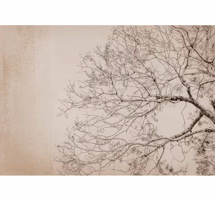 Foto behang bomen mooie takken silhouet - TenStickers