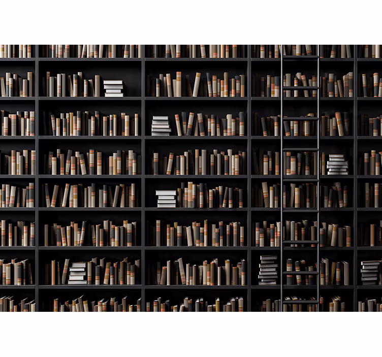 Foto behang stenen boekenassortiment bibliotheek - TenStickers