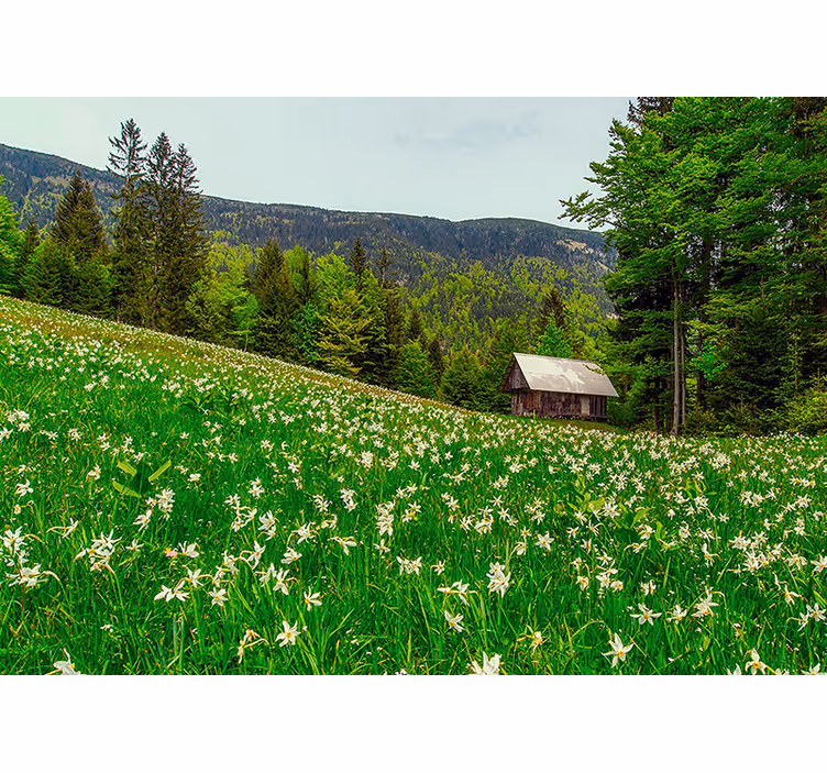 Fotobehang natuur serene pastorale landschap - TenStickers