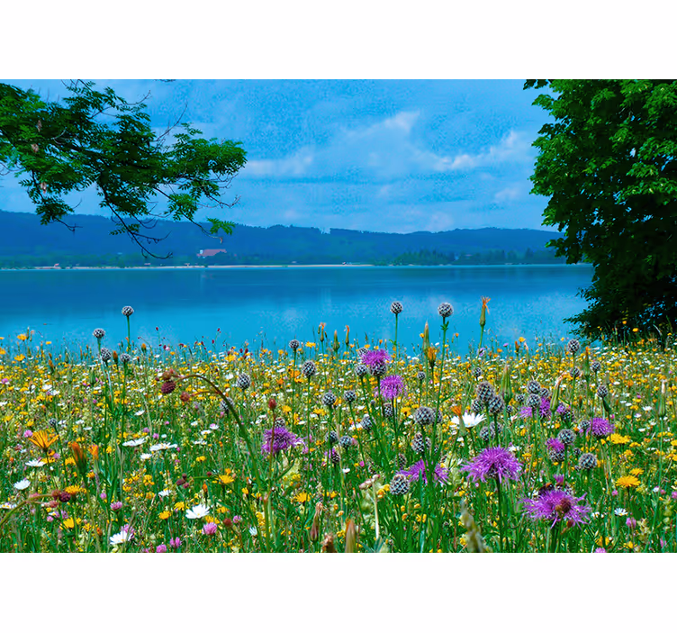 Bloemen foto behang weelderige weide flora - TenStickers