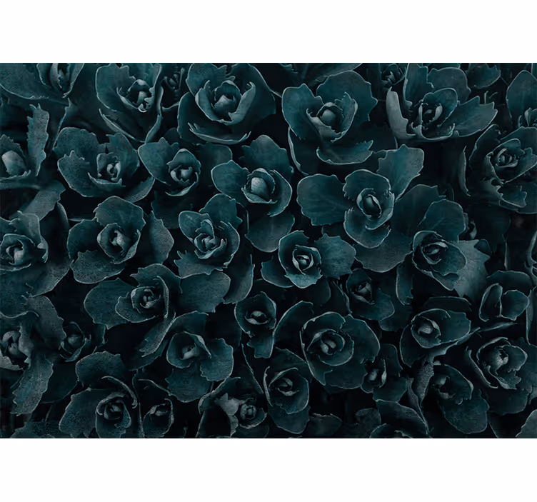 Bloemen foto behang elegante rozenbloem - TenStickers