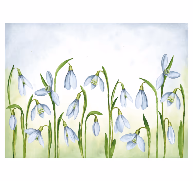 Fotobehang bloemen sneeuwklokjes flora - TenStickers