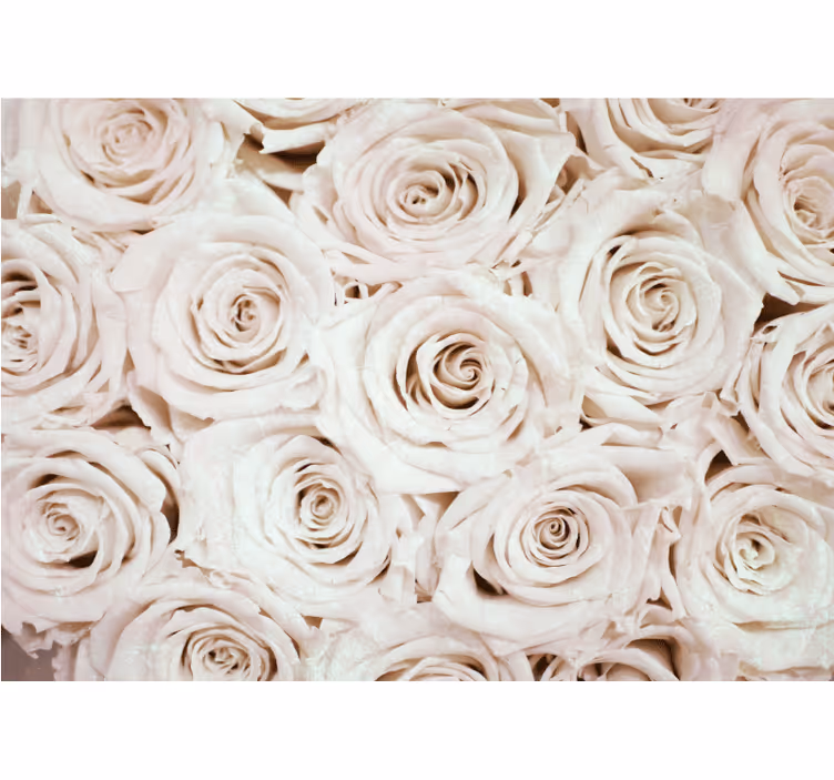 Bloemen foto behang zacht rozenarrangement - TenStickers