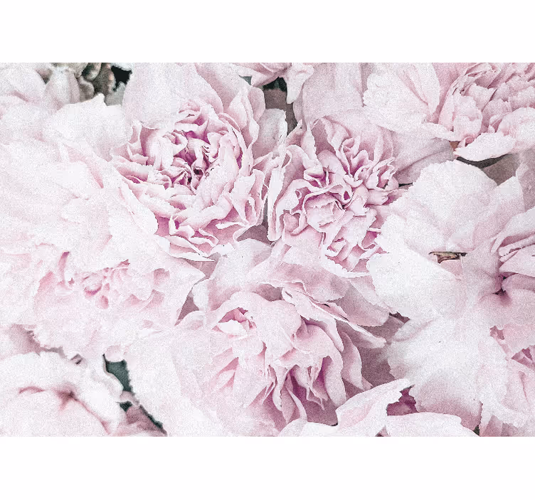 Bloemen foto behang zachte roze bloesems - TenStickers
