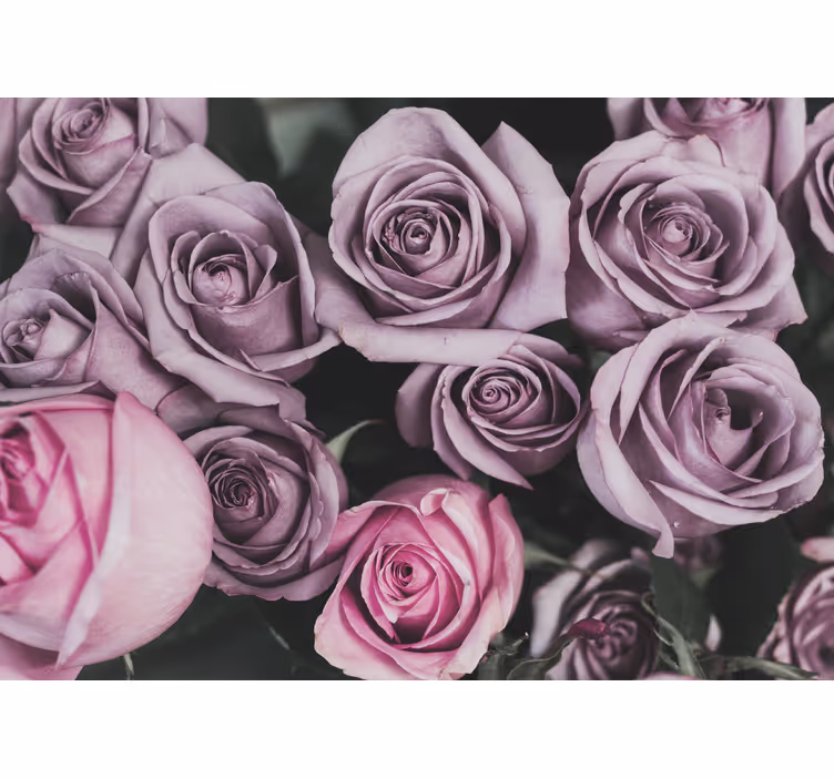 Bloemen foto behang lavendel rozenboeket - TenStickers