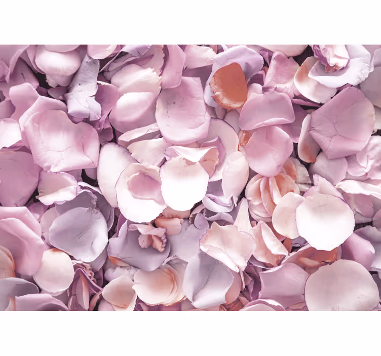 Bloemen foto behang rozenblaadje close-up - TenStickers