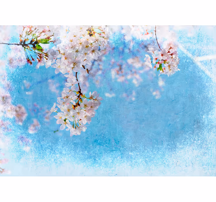 Kersenbloesem sereniteit bloemen foto behang - TenStickers