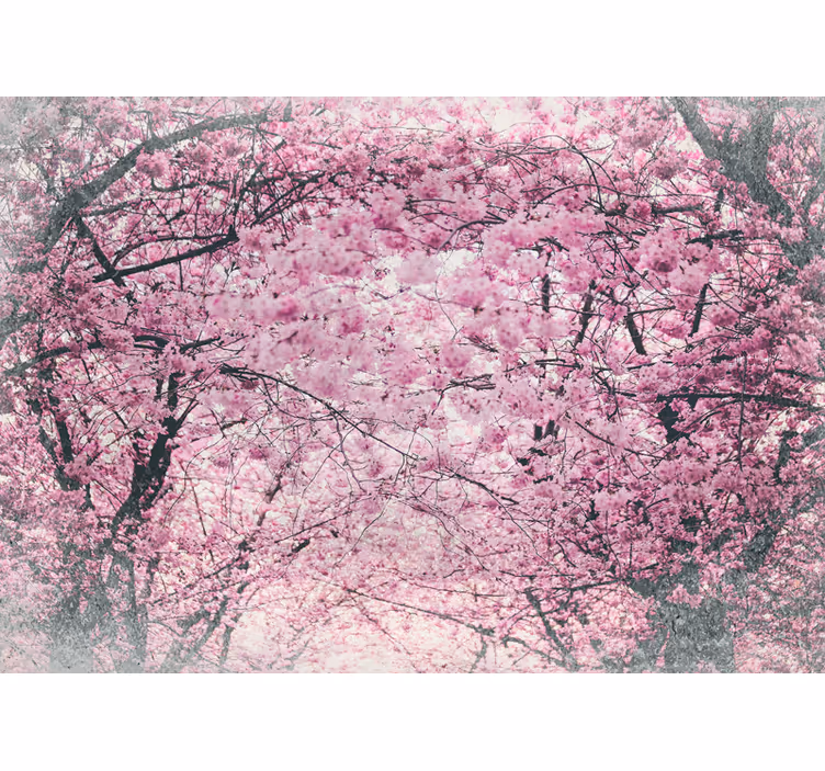 Bloemen foto behang kersenbloesemboomgaard - TenStickers