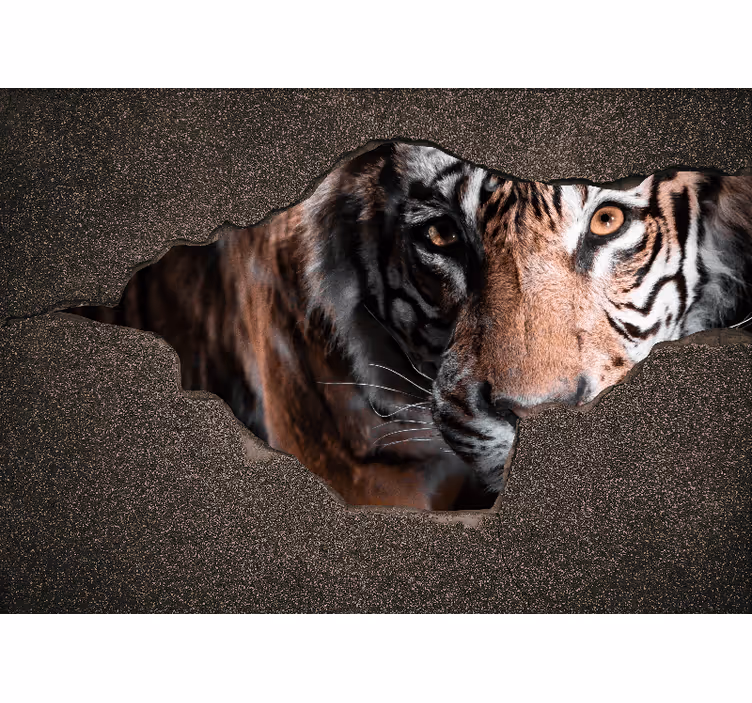 Fotobehang verschillende dieren tijger close-up - TenStickers