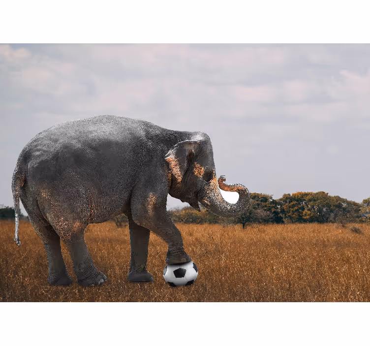 Fotobehang verschillende dieren olifant voetballend - TenStickers