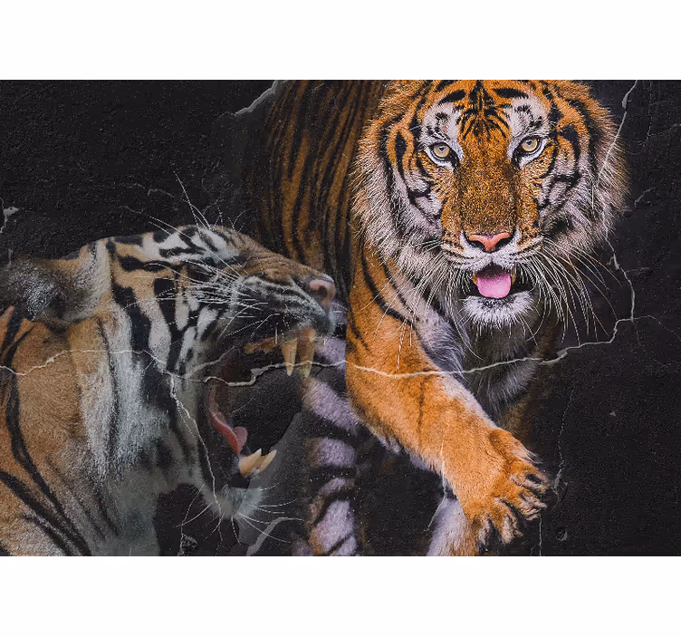 Foto behang dieren majestueuze tijger ontmoeting - TenStickers
