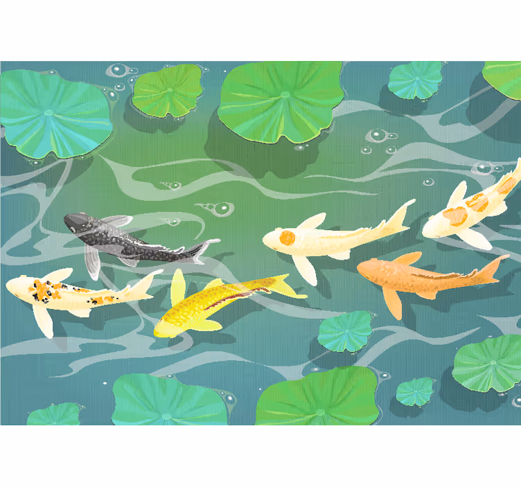 Foto behang dieren koi vijver - TenStickers