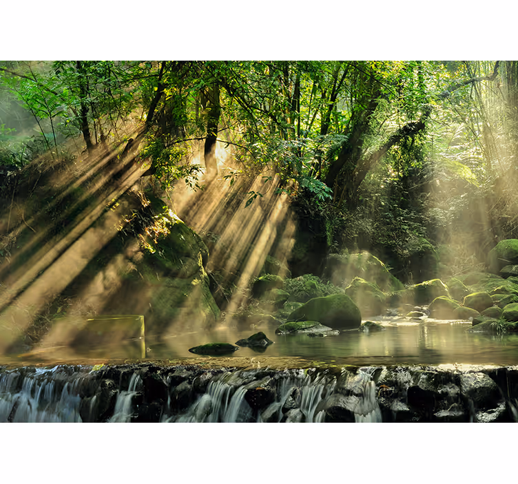 Zonnige bosbeek fotobehang natuur - TenStickers