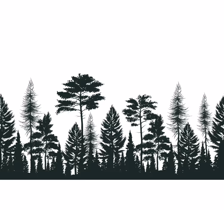 Fotobehang natuur silhouetten van dennenbomen - TenStickers