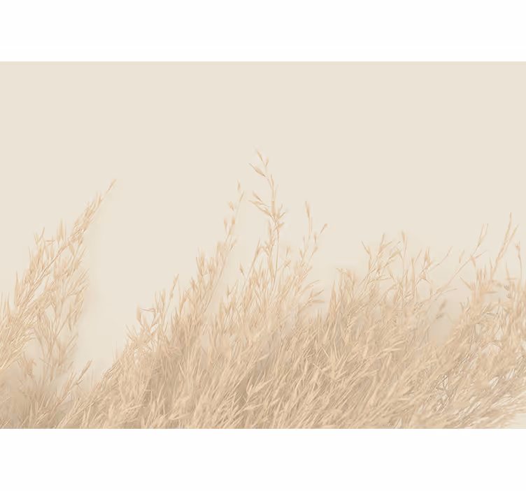 Zacht graslandschap fotobehang natuur - TenStickers