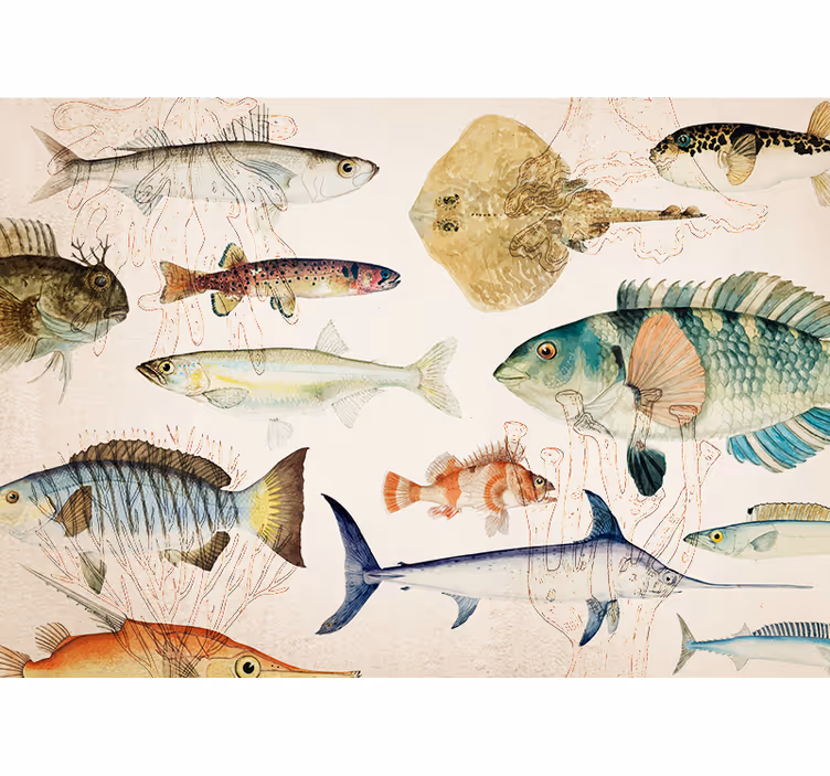 Foto behang dieren mariene leven collectie - TenStickers