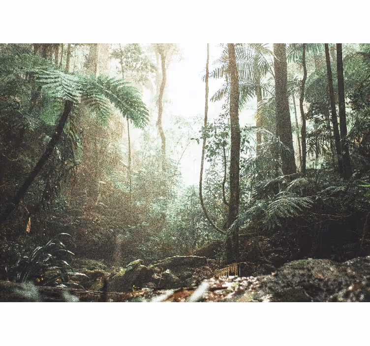 Foto behang bos weelderige jungle sereniteit - TenStickers