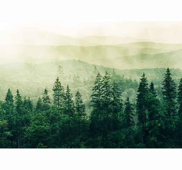 Fotobehang natuur mistig groen landschap - TenStickers