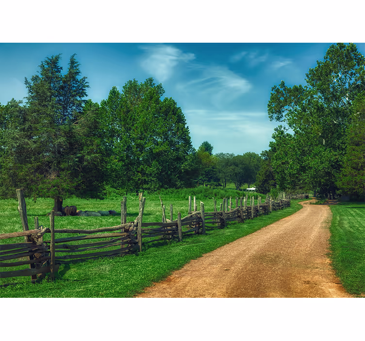 Fototapet landschap levendige groene wandelweg - TenStickers
