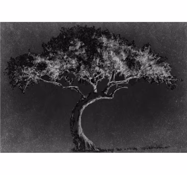 Foto behang bomen elegante boom silhouet - TenStickers