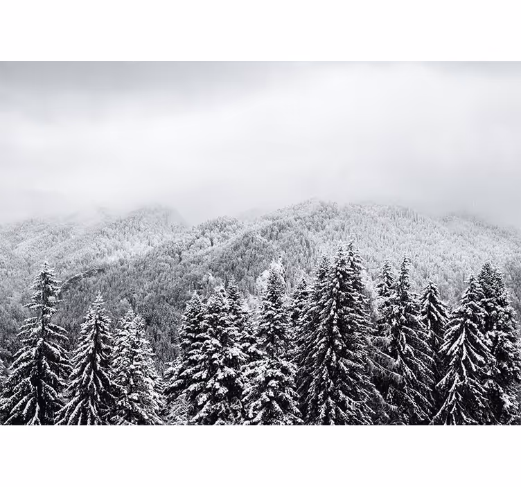Natuur behang wintry woodland scenery - TenStickers