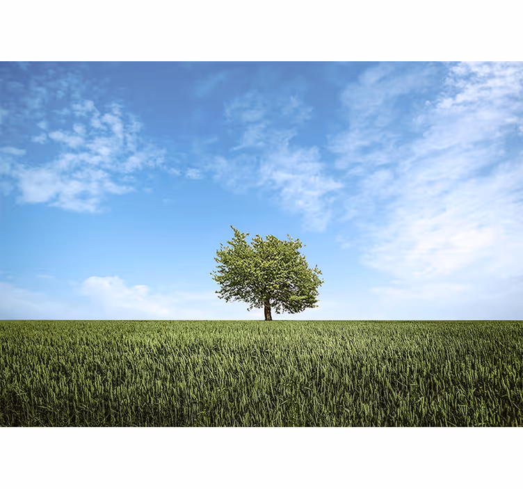 Natuur behang eenzame boom landschap - TenStickers